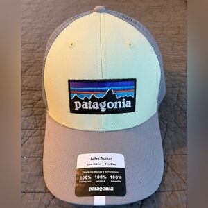 Patagonia Gray Trucker Hat